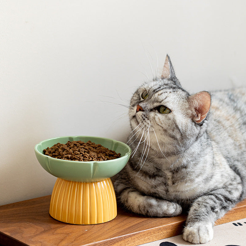 Pet Macaron Ceramic Bowl