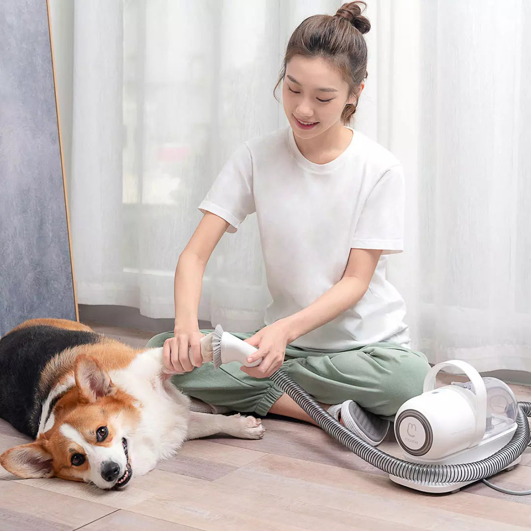 Pet Shaving Groomer