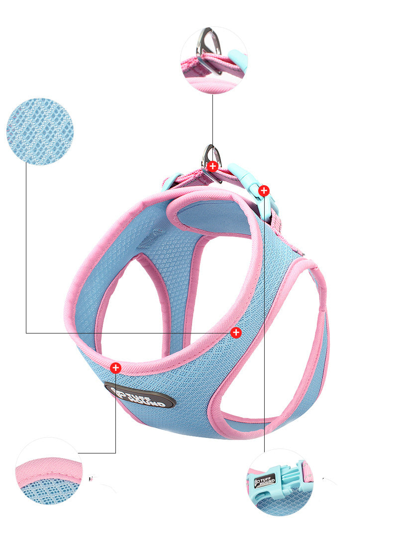 Pet Harness & Leash
