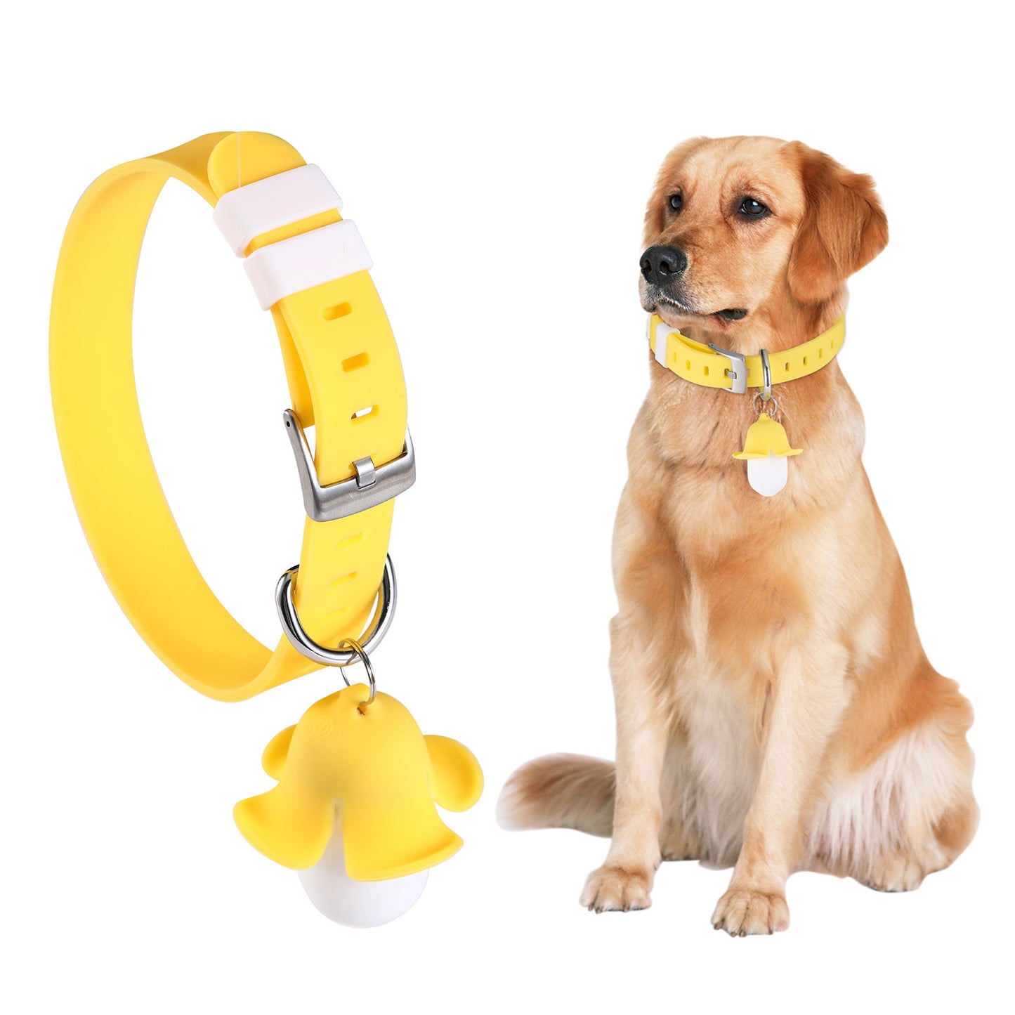 USB Rechargeable LED Dog Collar