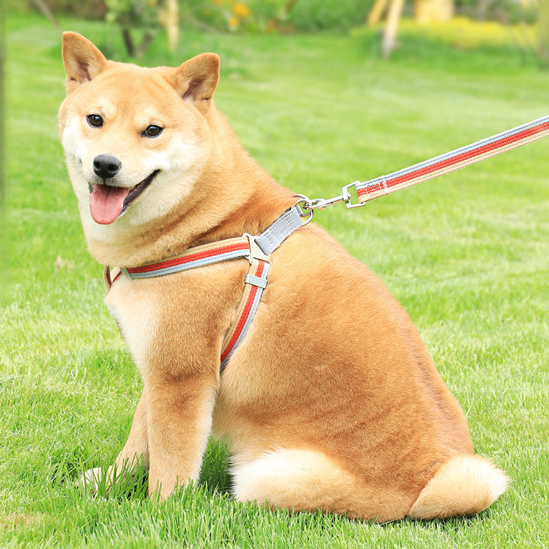 Reflective Pet Harness