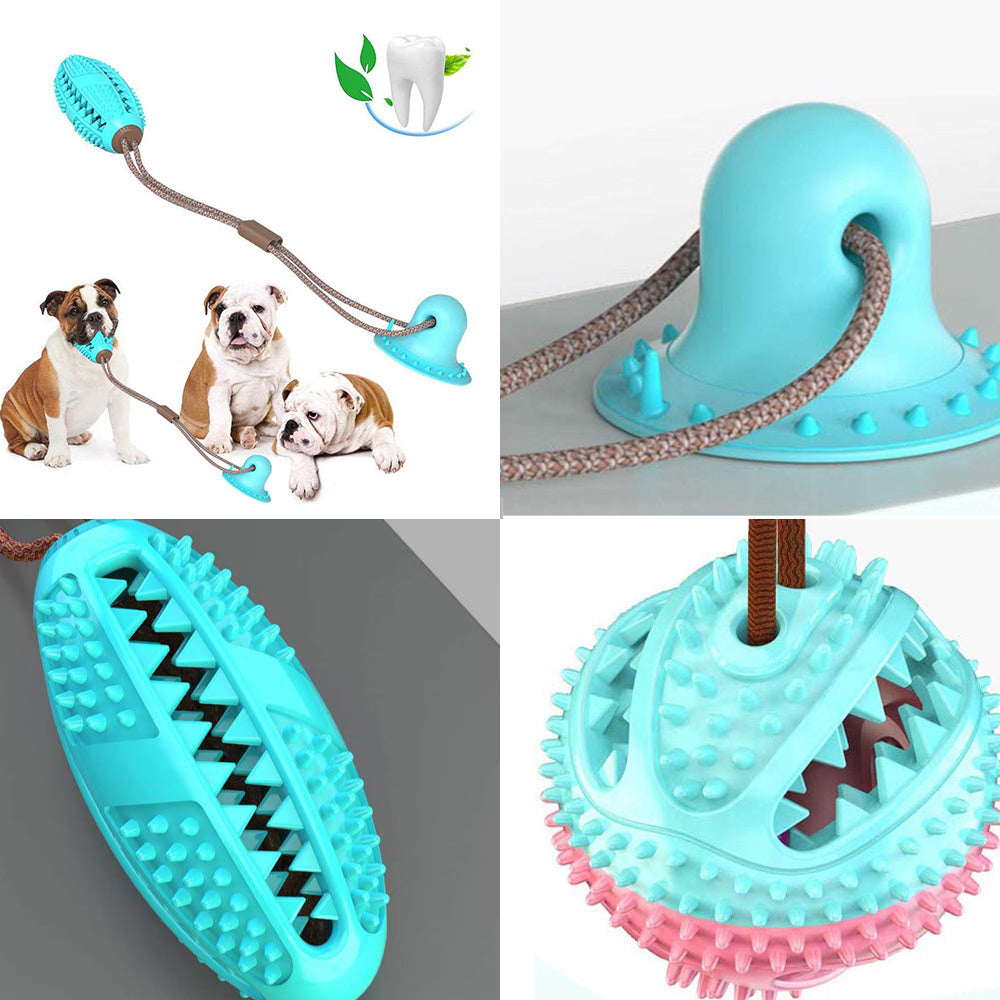 Suction Cup Tug Dog Toy