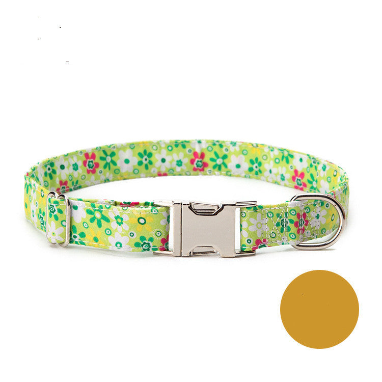 Custom Nylon Dog Collar