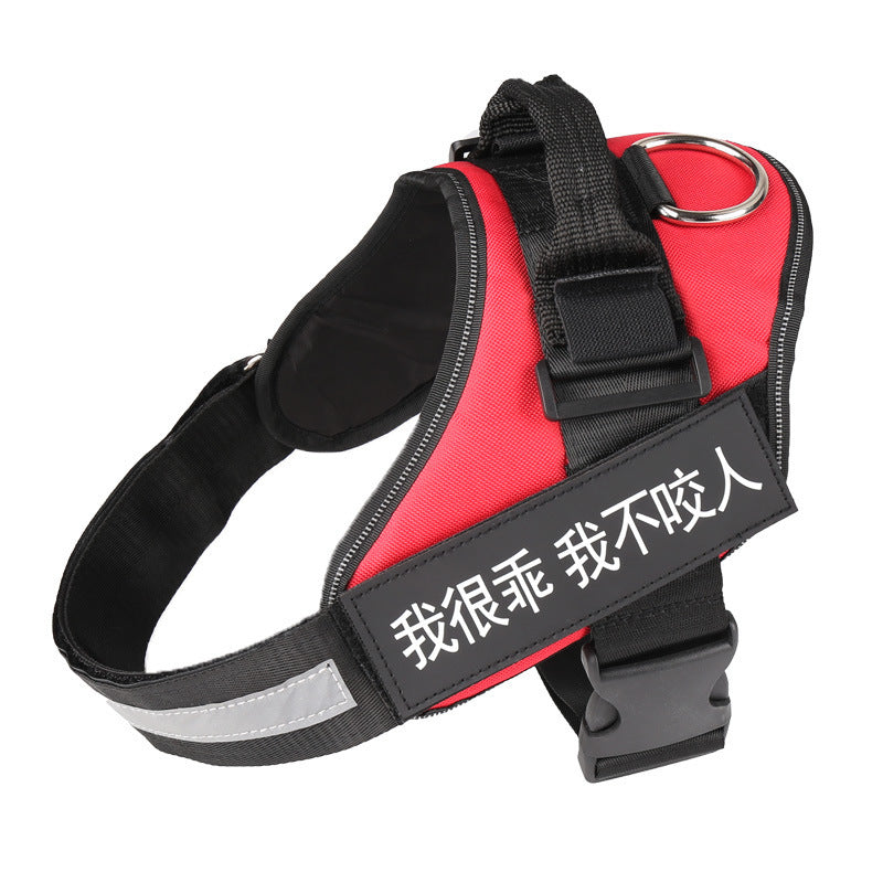Personalized No-Pull Dog Harness