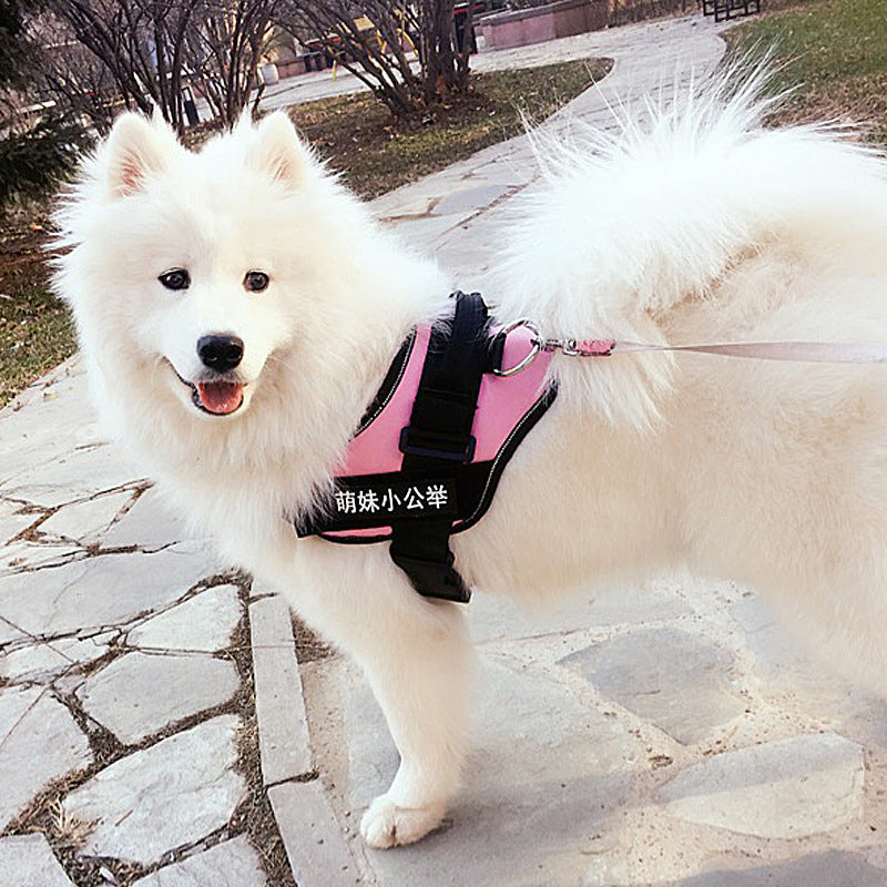 Dog Harness & Leash