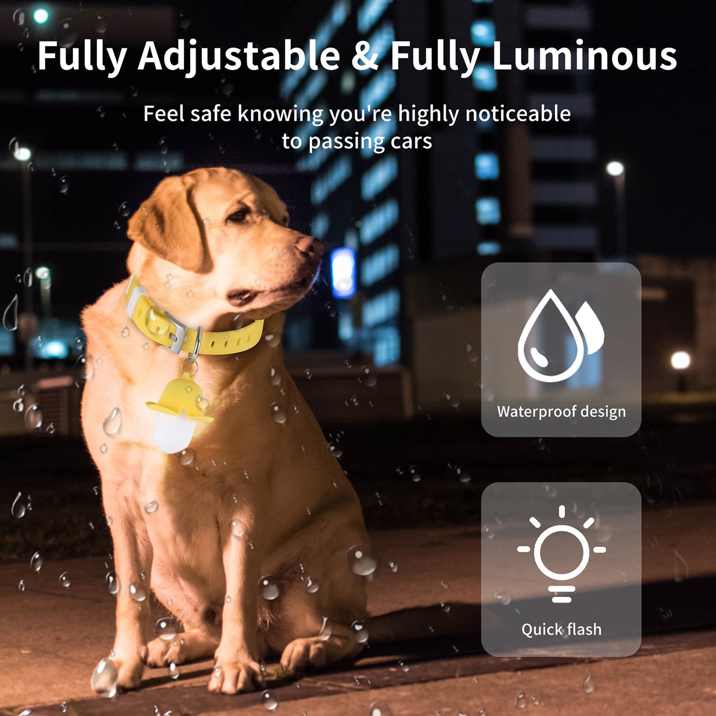 USB Rechargeable LED Dog Collar