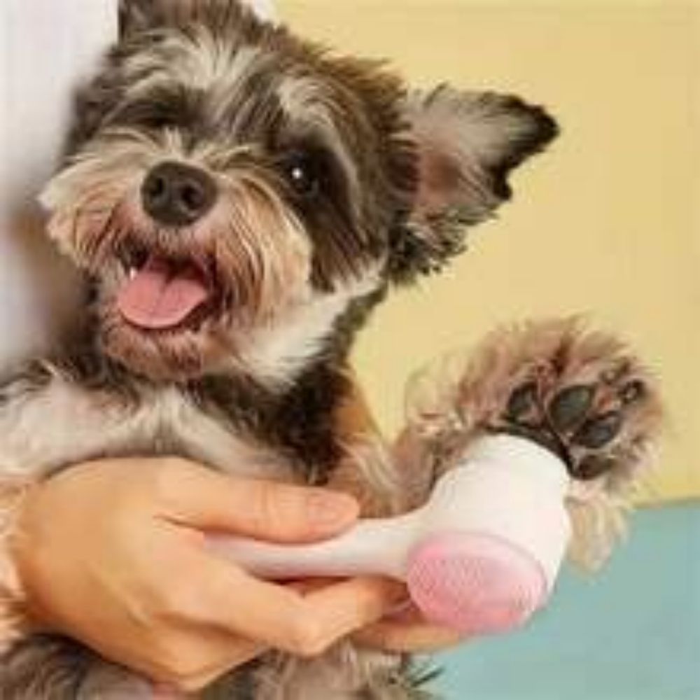 Nylon Pet Paw Brush for Dogs & Cats