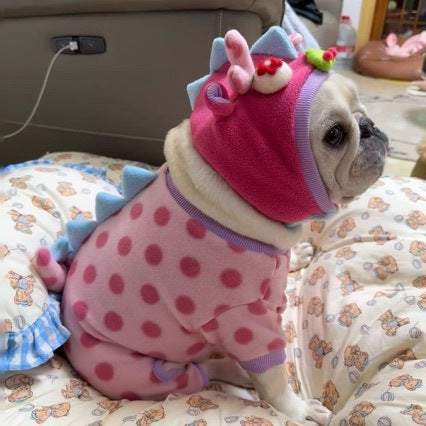 Winter Pet Coat