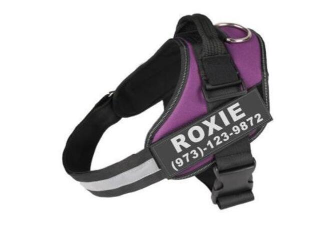 Personalized No-Pull Dog Harness
