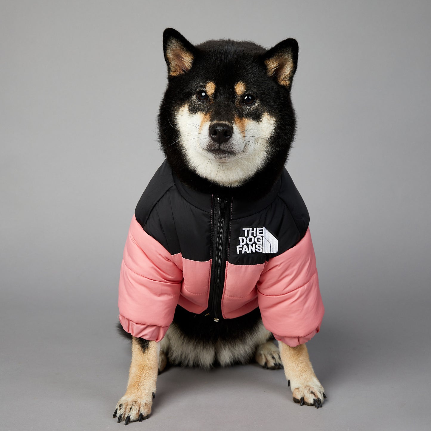 Winter Dog Coat