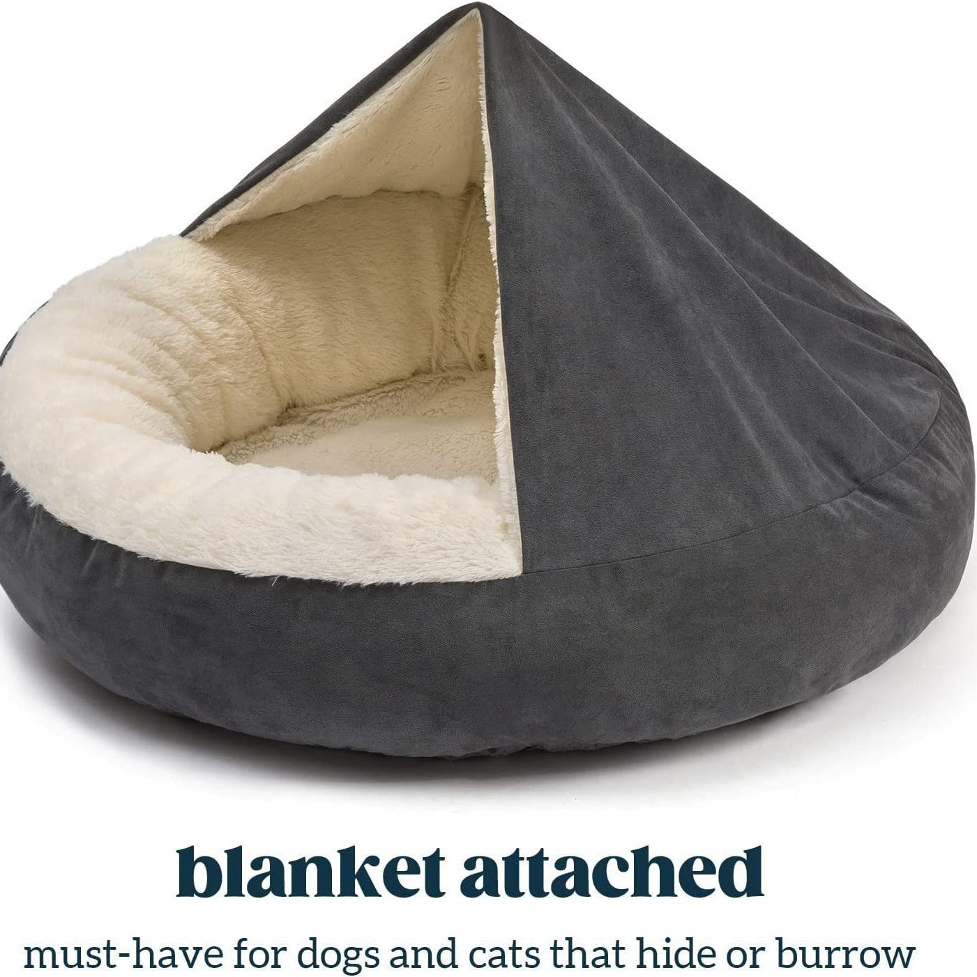 Teddy Pet Bed for Small & Medium Dogs