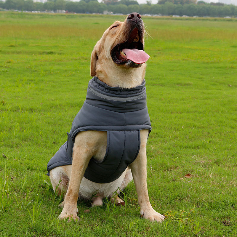 Cold-Proof Dog Trench