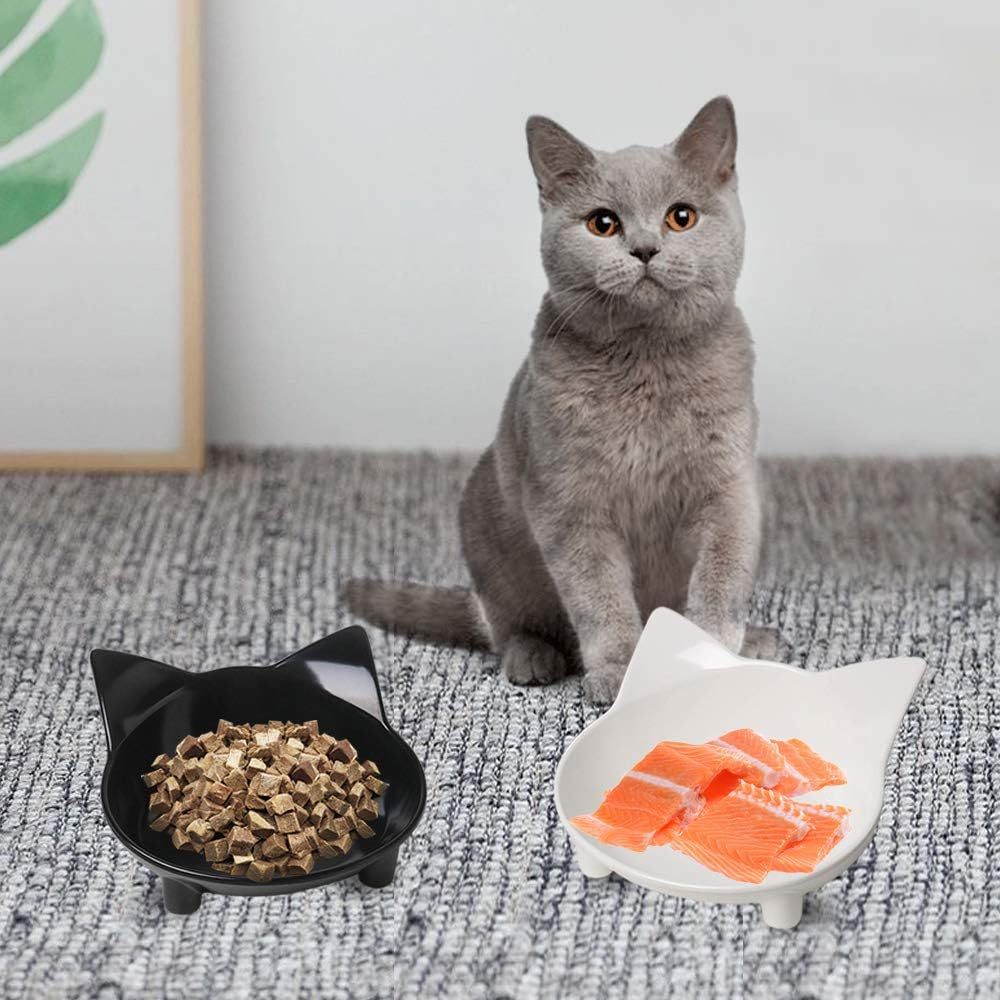 Non-Slip Shallow Cat & Dog Feeding Bowl