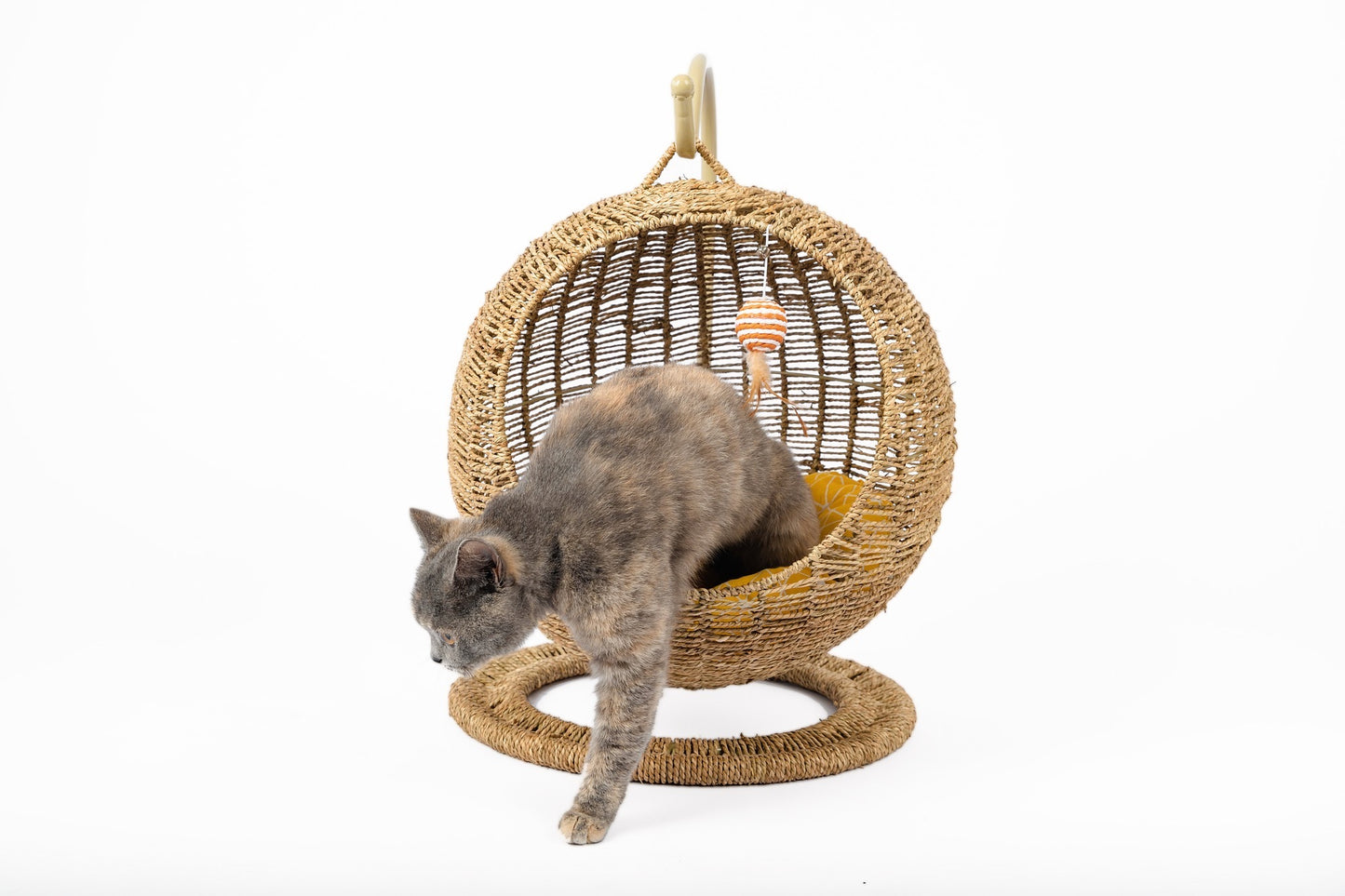 Woven Cat Bed Basket