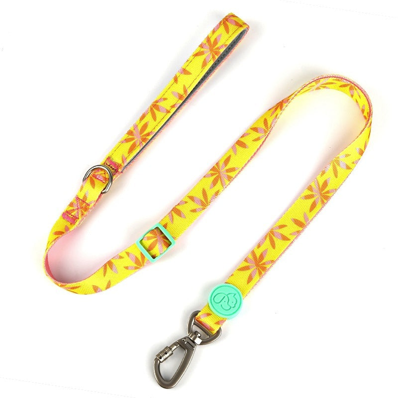 Pet Harness & Leash Set