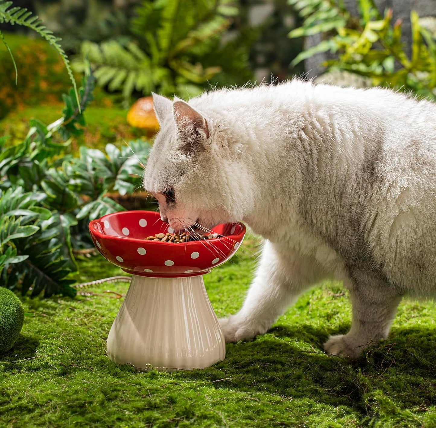 Mushroom Polka Dot Cat Bowl