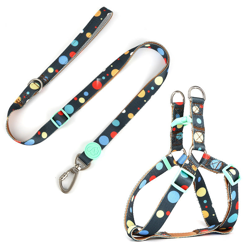 Pet Harness & Leash Set