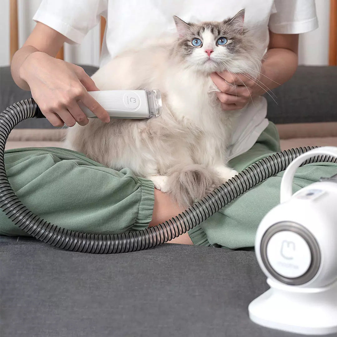 Pet Shaving Groomer