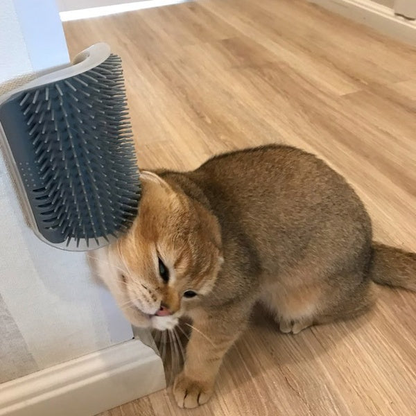 Cat Grooming Brush