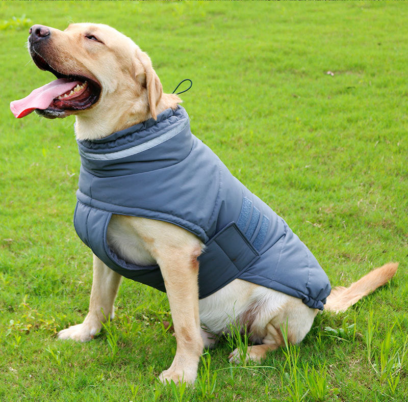 Cold-Proof Dog Trench