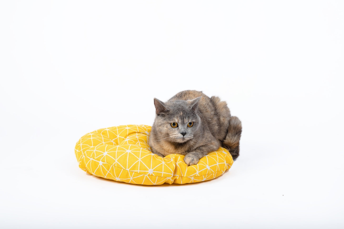 Woven Cat Bed Basket