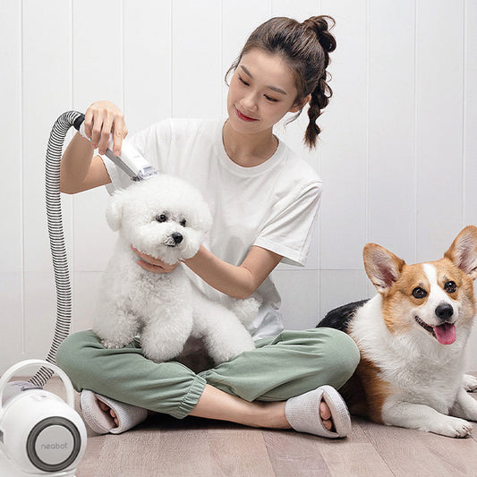 Pet Grooming Shaving Tool