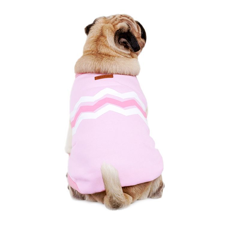 Pet Leisure Sweater